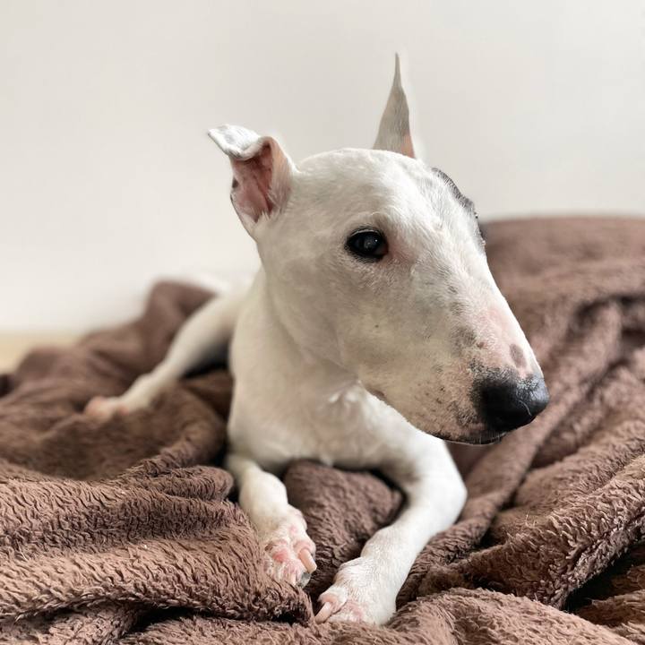 792c0cdc 42f5 4149 936d d35c2506d2dd 1722258566576