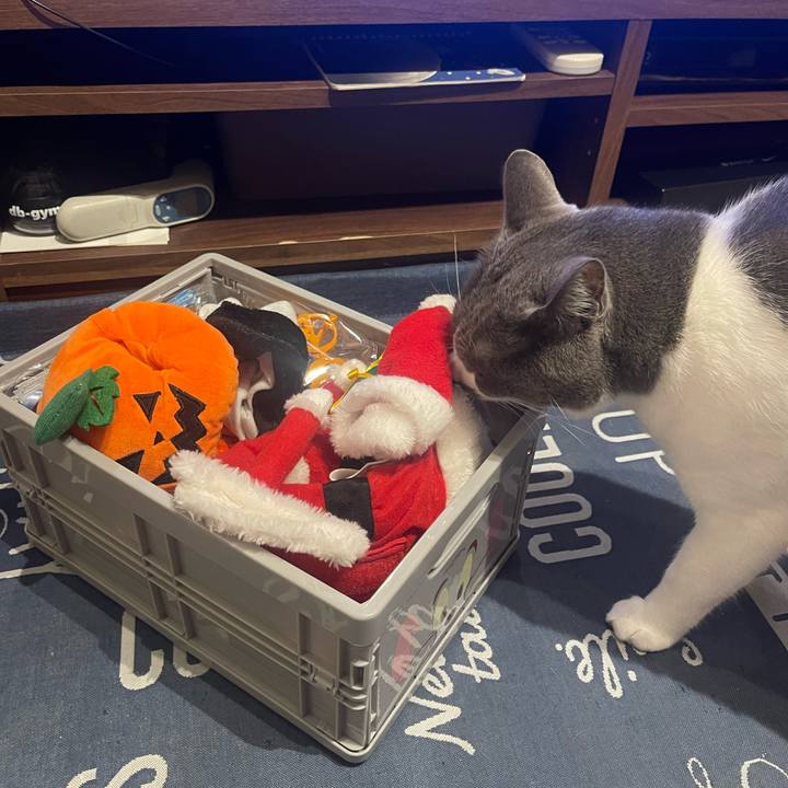 792c32fc fc42 46c9 b1a3 fa28d58dc358 1698738714566