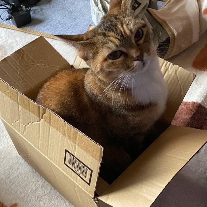 792c5ca5 eb08 466f beed 4ccba29b6625 1577342408770