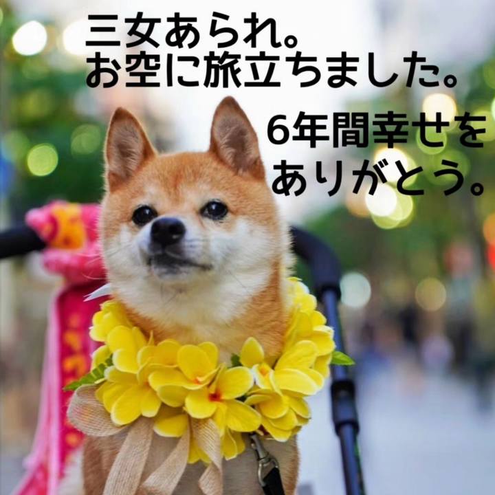 792c622e 7246 45db 8539 a97791d9a6ac 1729480032332