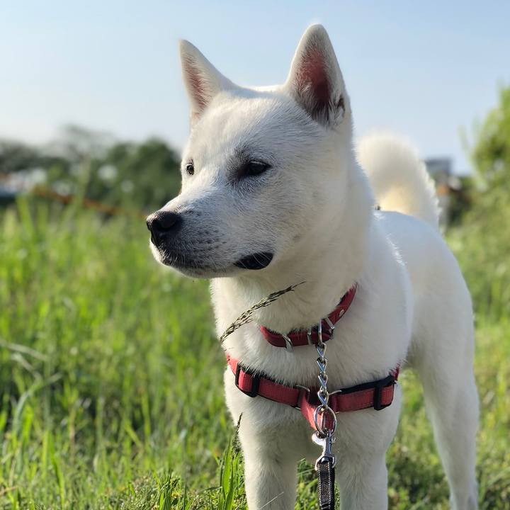 792ca38a 6177 47d5 92f3 ae236f94b683 1525337806685