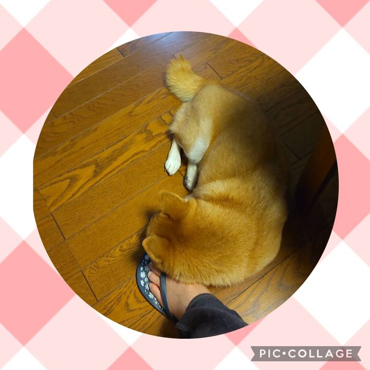 792cc09b ced7 4249 bb7b 5fb9b0999321 1701163097404