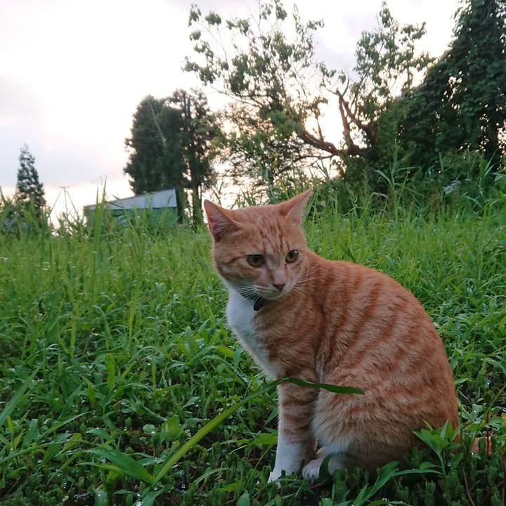 792cc70c f880 4691 96b6 4a1ea17825d0 1563961680018