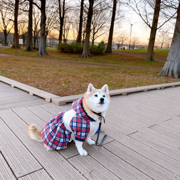 792cdf04 d15f 4ae3 8645 43c9b0c3d55d 1642084114306