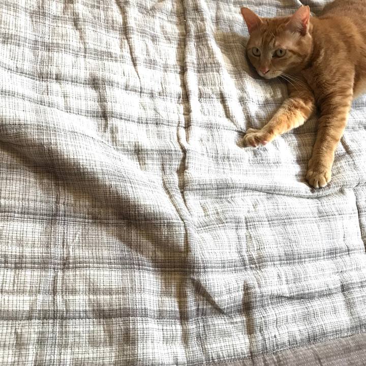 792cfe29 9f13 41d0 8ad6 2cee51b9431a 1588806921158