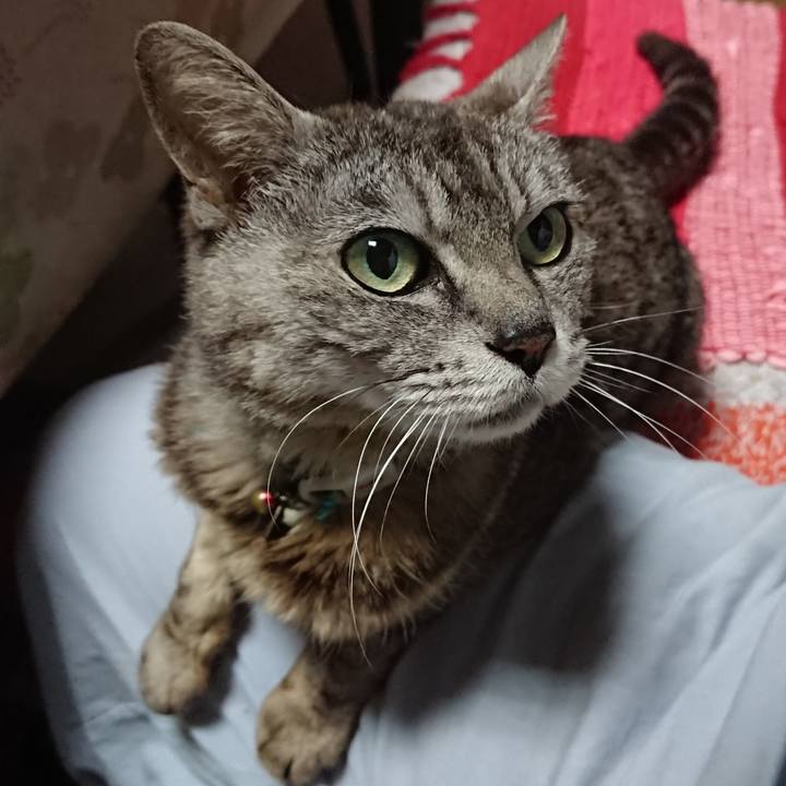 792d1005 7a67 4edf b7e1 e57e3ea78e22 1562358582821