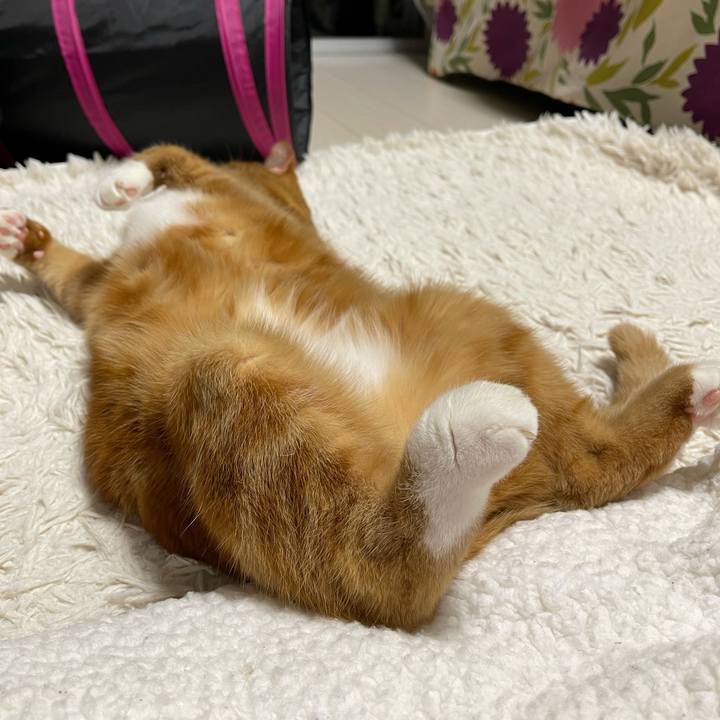 792d3314 429a 40f3 af7f 3e73c4520263 1639393383695