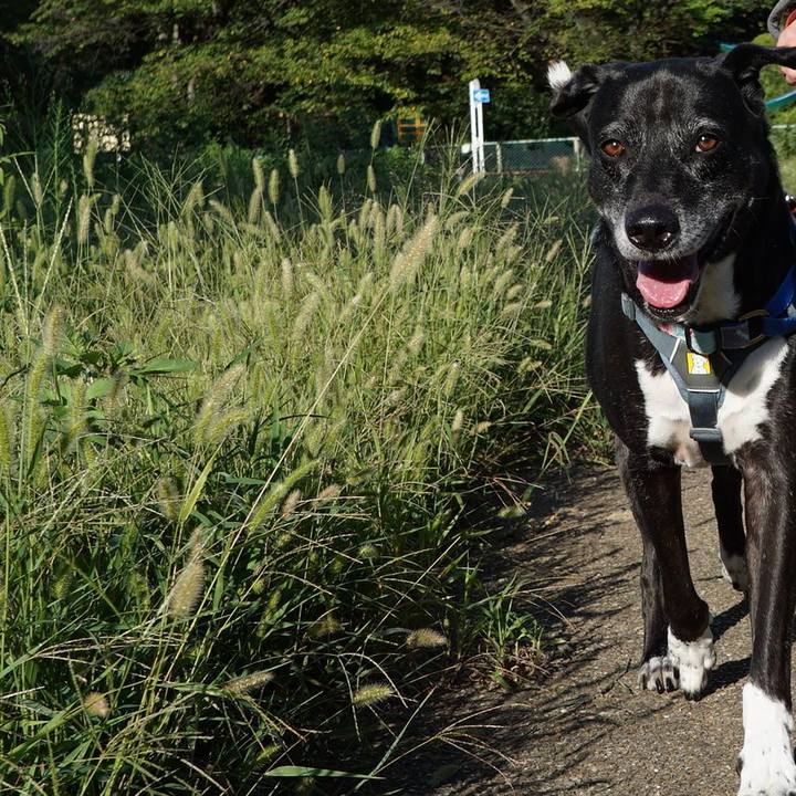 792d97d1 fe3c 4c14 b872 f83b47ce92ec 1758671952383