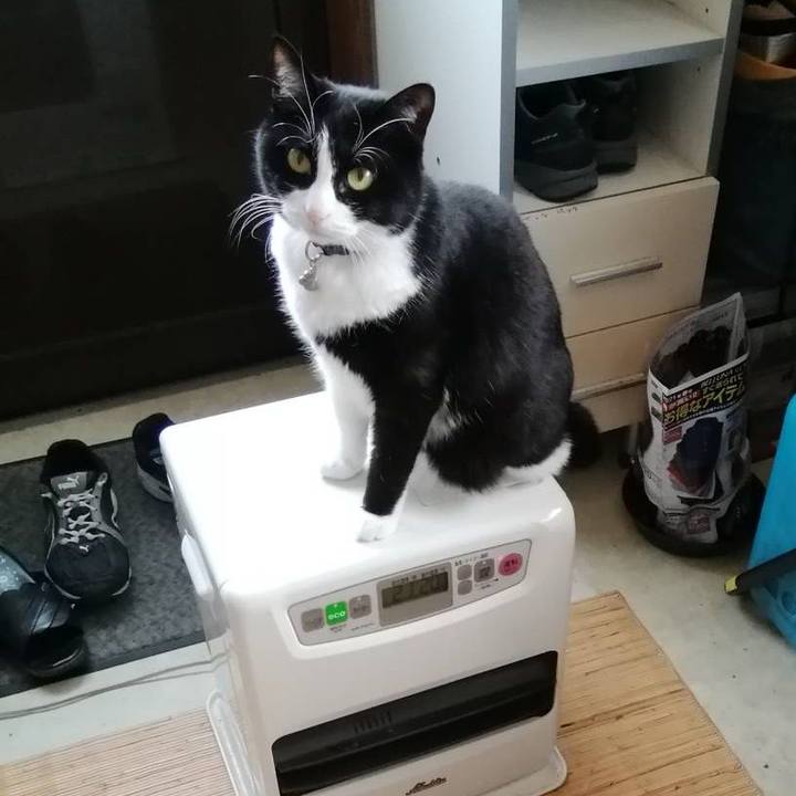 792d9ece 2483 45e6 b4df 17dbc792437e 1617868900408