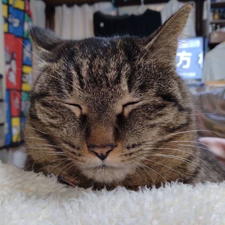 792db690 b9a1 4860 9452 41a26c1eacc6 1677499461394