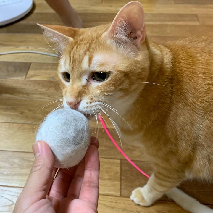 792dc3f2 a9cb 4c5d 99eb 955daaef14cf 1558960574849