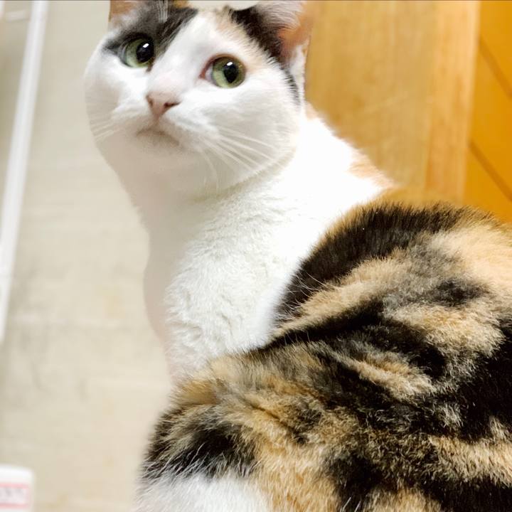 792df252 82db 4fa3 bac4 76cd30cd9be8 1550370458514