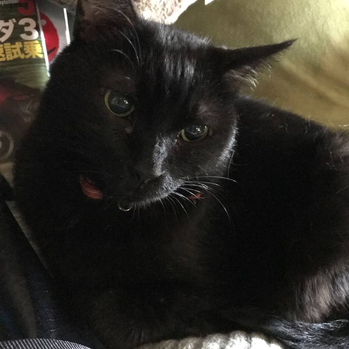 792e8051 e50d 4e64 8671 f60bd6193422 1565751683849