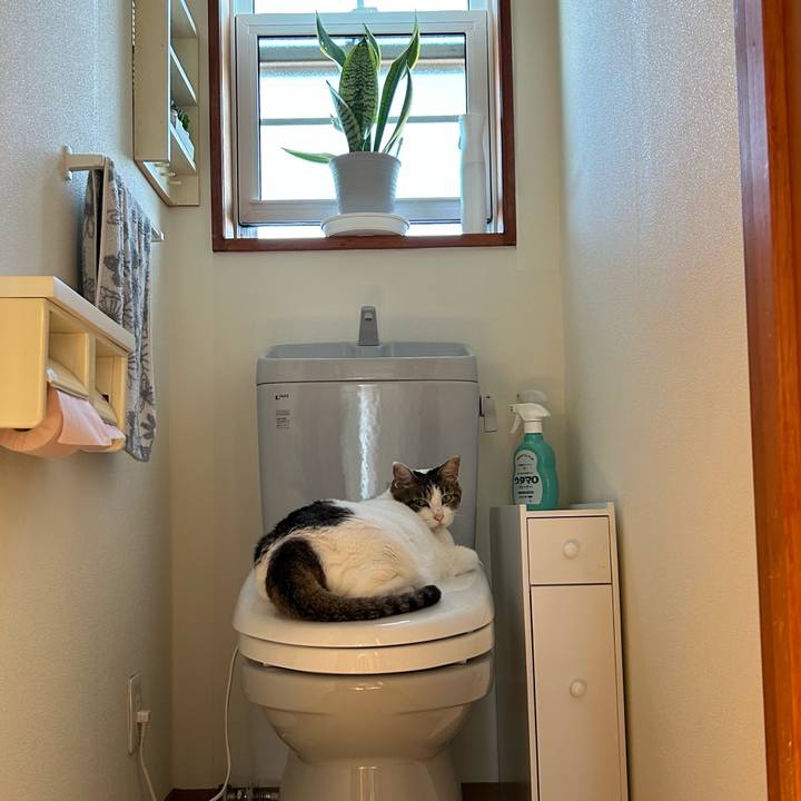 792ecafb 011b 4503 ae50 acb70f4cbf33 1689546733269