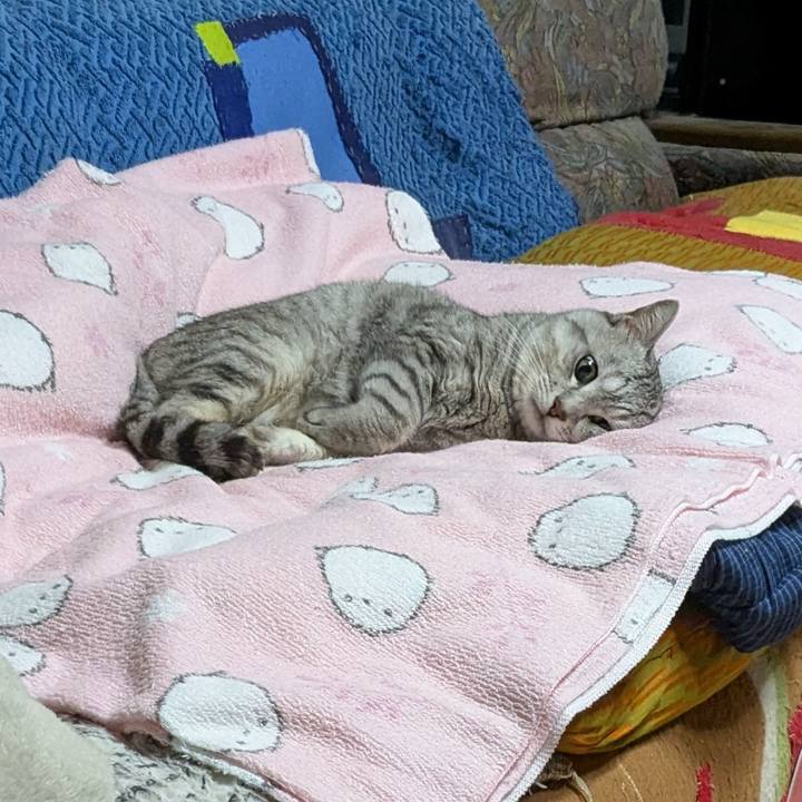 792ed1e4 891a 4d56 a488 7d87de0e95b1 1757949553074