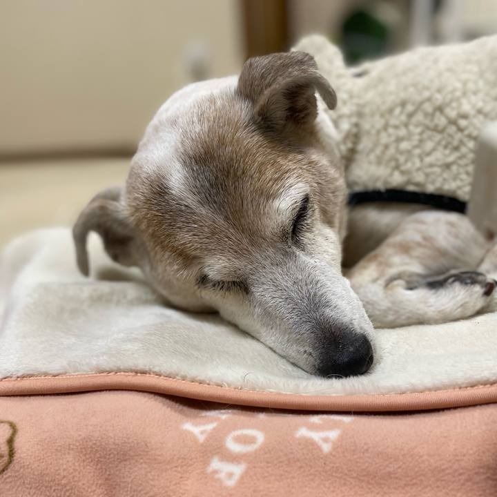 792f0991 d586 4659 8b5d a92f6dadc0ae 1707835936671