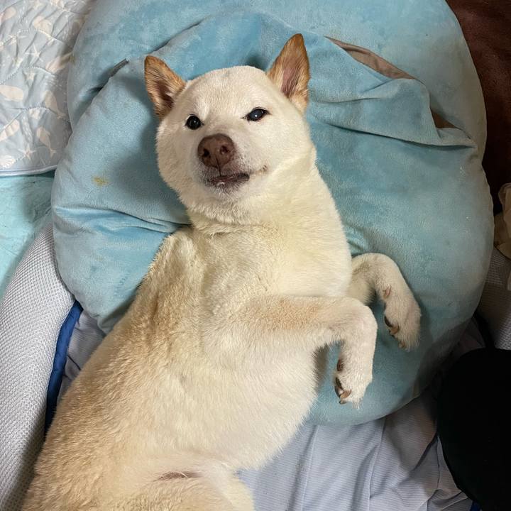 792f09cf d173 4d72 b5b1 bce388840804 1656686212085