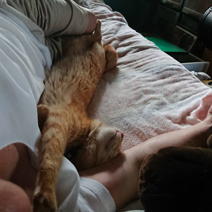 792f0fe3 6ca8 45bb 9c49 69078119ed1f 1659422211120