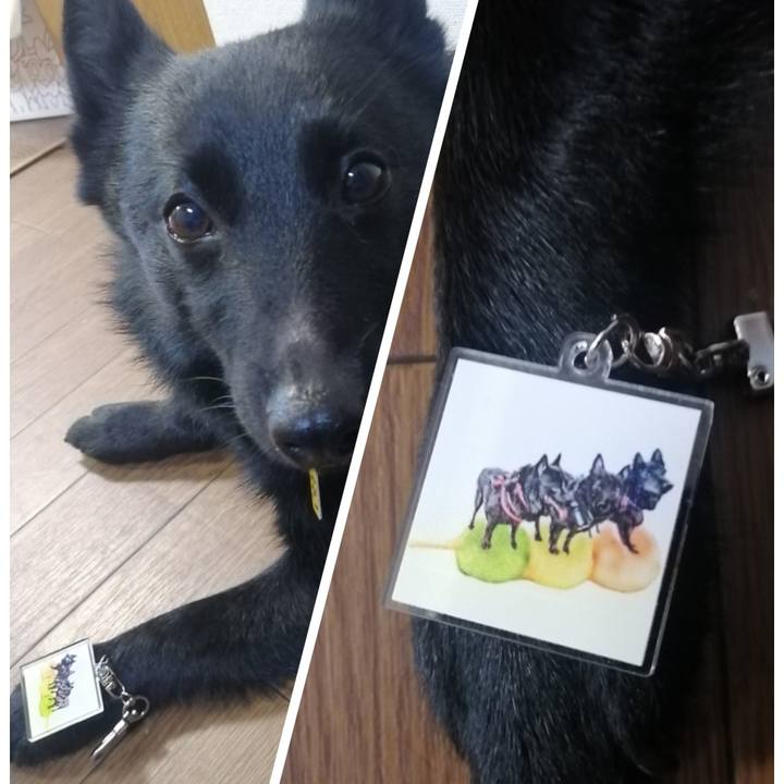 792f34a4 759e 4c17 b170 14c4c20c218e 1651879620939