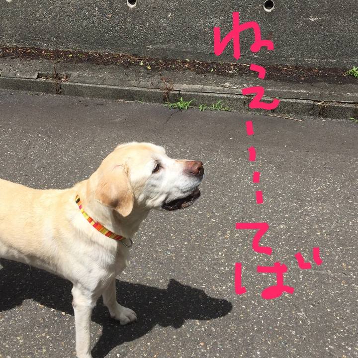 792f37d7 8284 4c3b 8d83 3e3782614d4b 1553694791042