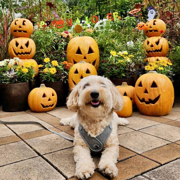 792f6536 4e81 4d90 a58c 3106d137cd2b 1759977625745