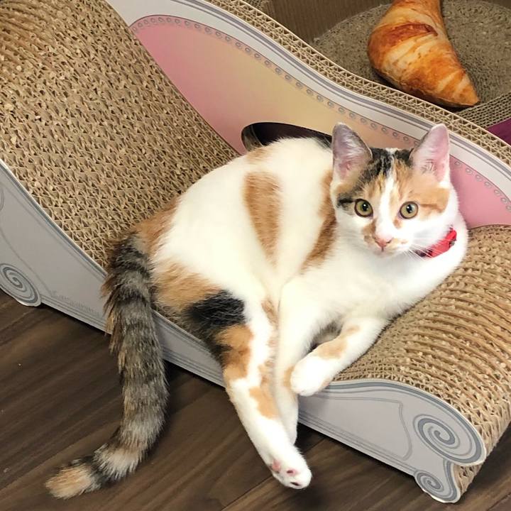 792f757d 6a3a 4921 8f50 b68a9f026490 1571268971913