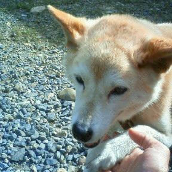 792faea5 f778 4c1f 87a1 67f79c2dd283 1528895878300