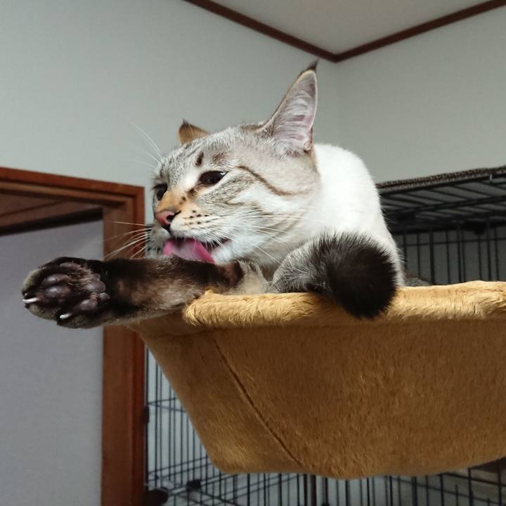 792fd4cf 5630 4f0d aa03 b097b16b5f58 1513992397712