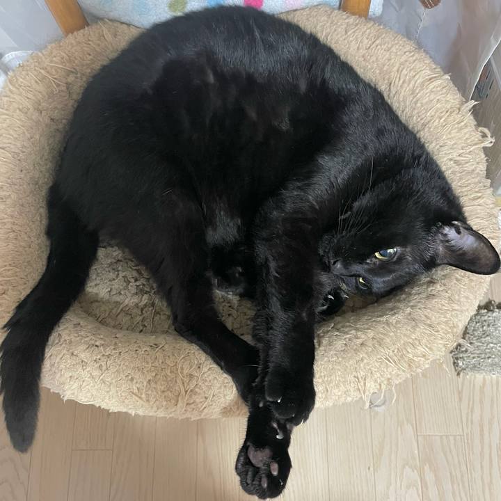 793013f8 36c9 46c3 8ec3 a77ccfbe5ddb 1745841589661