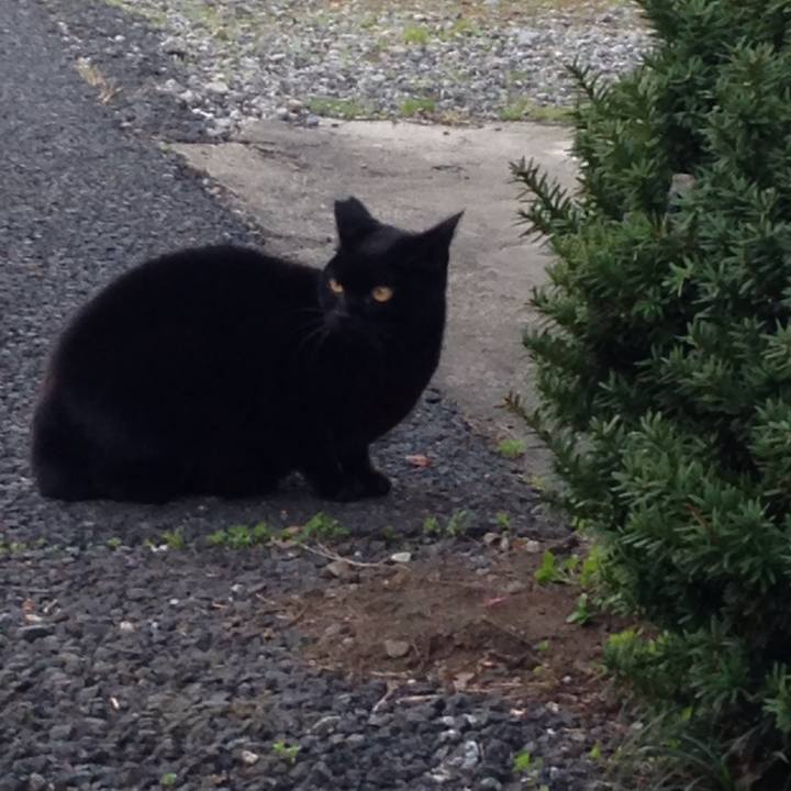 79301a13 4c5c 4559 8cea e4df5a7b4a8b 1512550893659