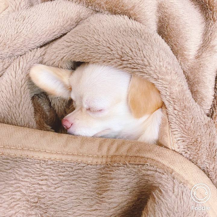 79303e9b 559c 49b0 ba2a 920040b487b0 1597724974041