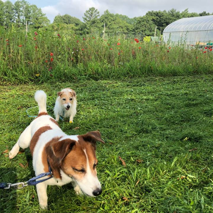 79304246 6160 43c4 a36a 433aba421d3d 1604902763782