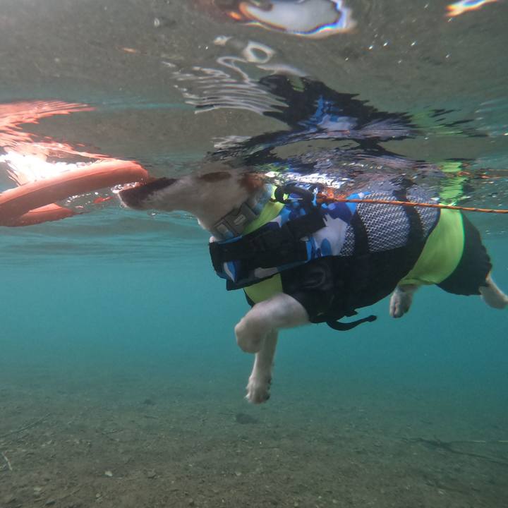 79305f9d 86b9 46bd a975 57fa7b7c9163 1600482119948