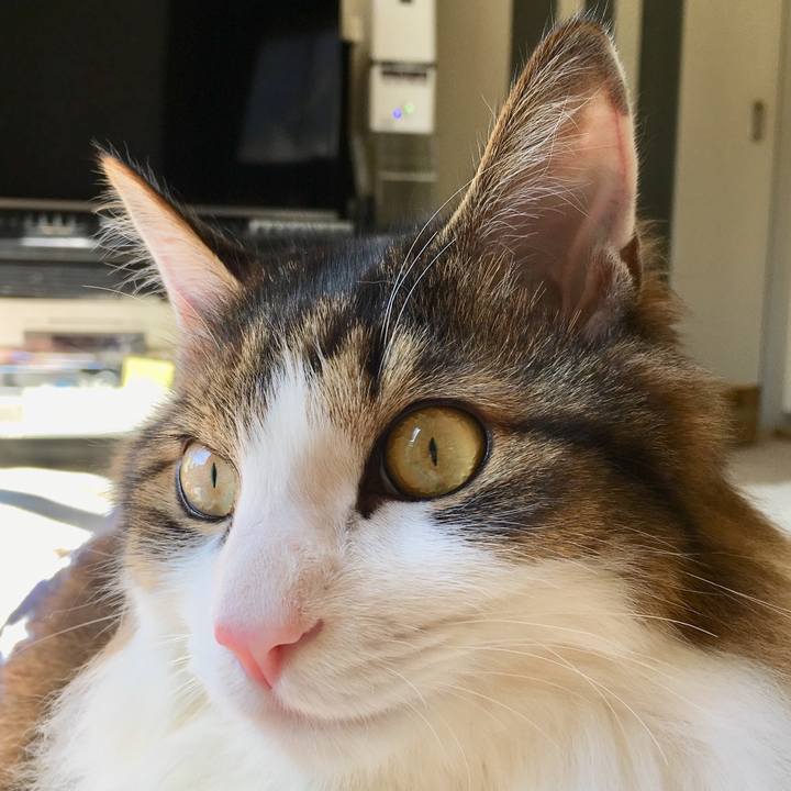 79306c32 897a 482f bb04 087517f86a4f 1521255097420