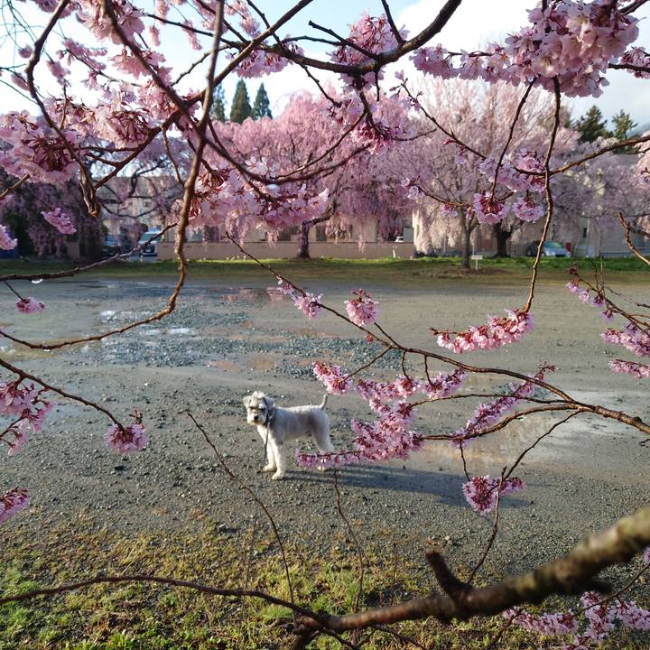 7930961a ac15 457a 89aa 832a053537c0 1775430345830