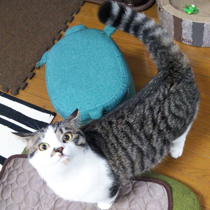 7930e96d db1d 4784 b228 03a21867d59a 1624598129485