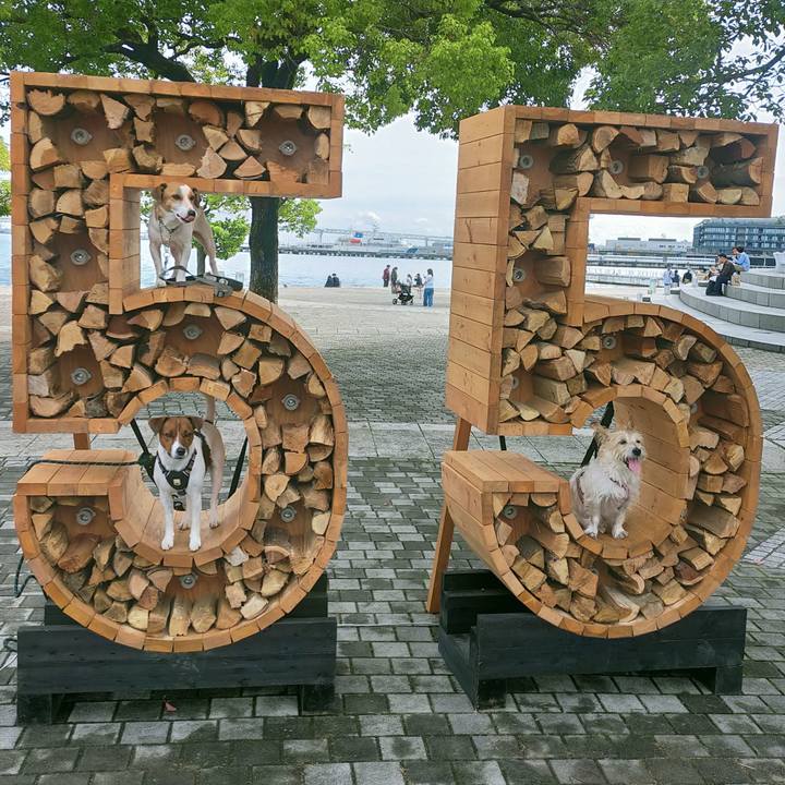 793115d5 cdf5 4e39 b704 7de27be7564c 1761989535083