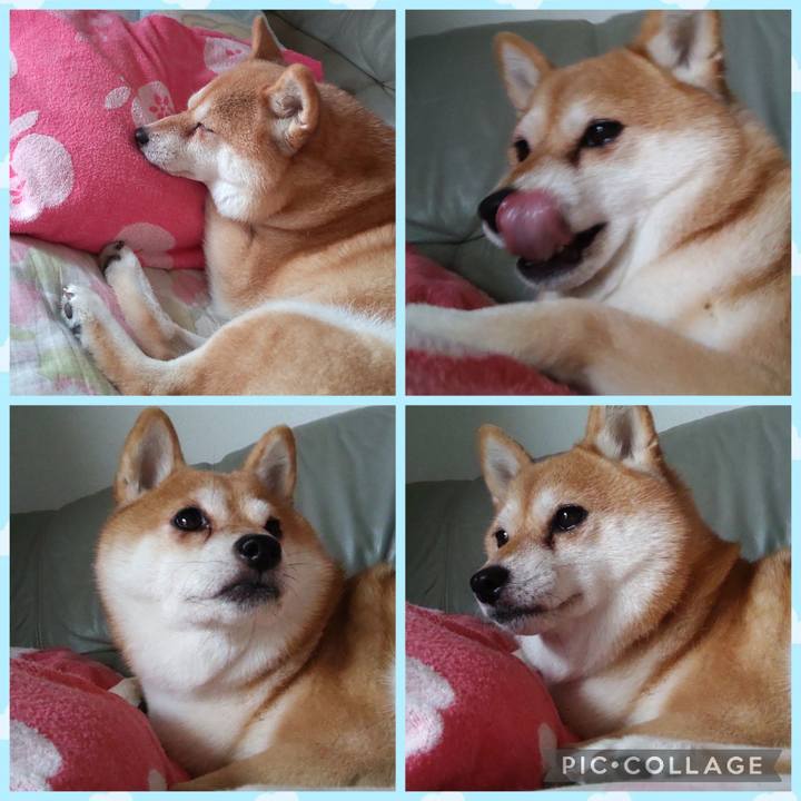 7931501b 6dba 4c9d 917b 5f2c851fd822 1757486558043