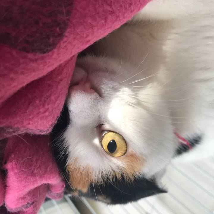 79316005 6ff2 4e2d 8e1e d04190c50a3e 1514606371495