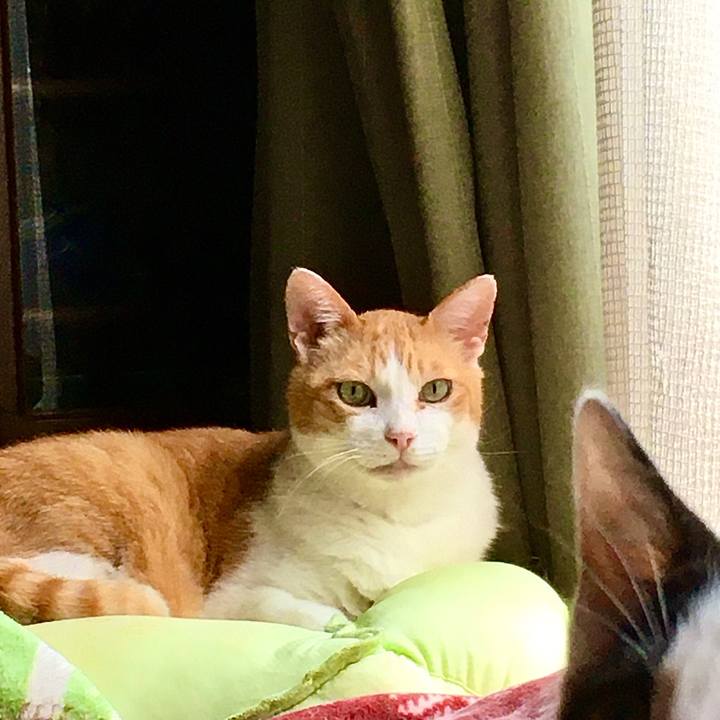 793178bd a5b5 4eaf b8d1 1f7ec953f1ee 1627879701472