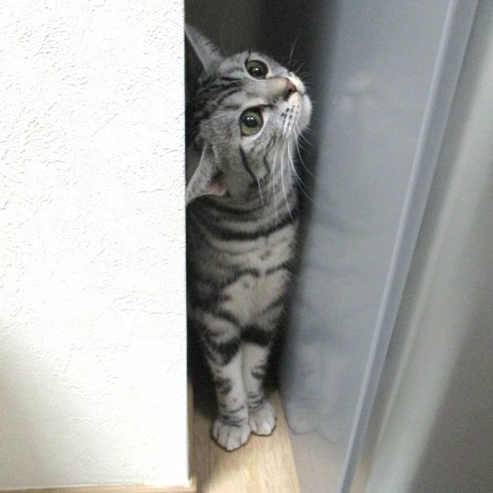 7931941e 4d52 4f6f bc55 7603a7fb418a 1546167975894