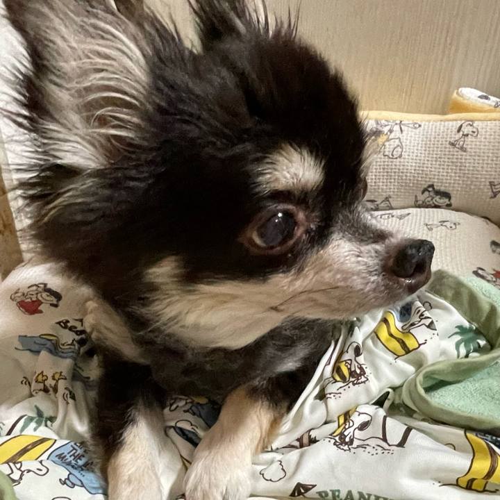 7931bf6c e1d9 44f6 bff7 2f8aa1c5813b 1694125496544