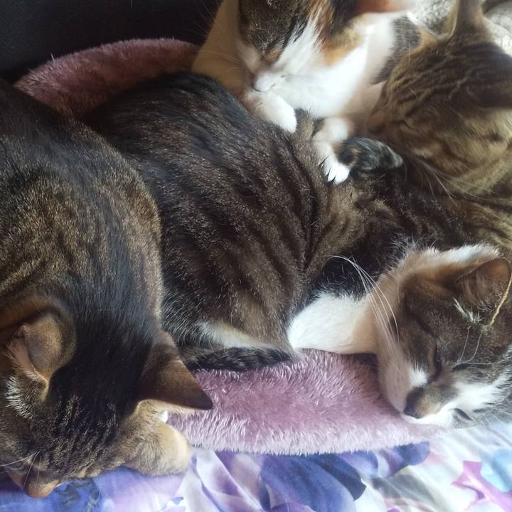 7931de03 c103 4810 90e3 1be9a000340e 1711088331314