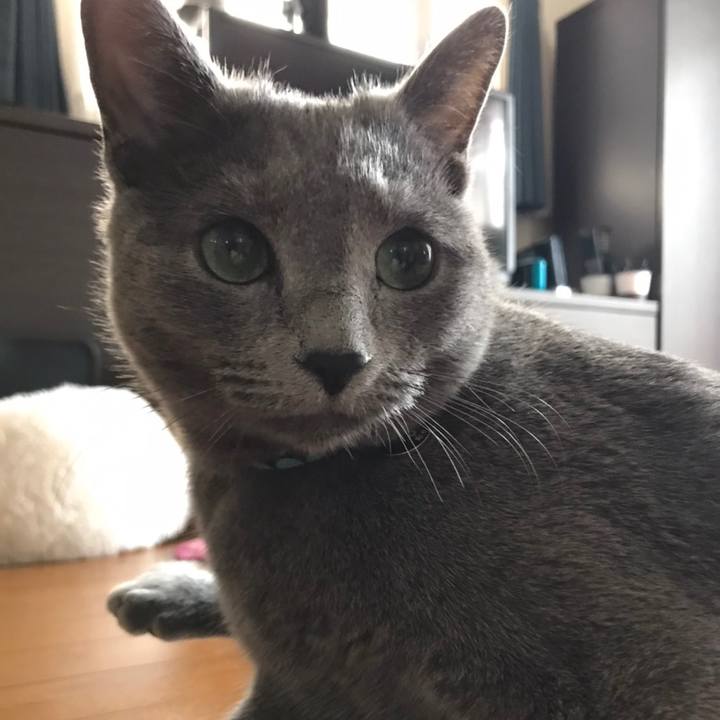 7931f3c2 cc69 4dda bbce 8098e93ad1bc 1583728076145