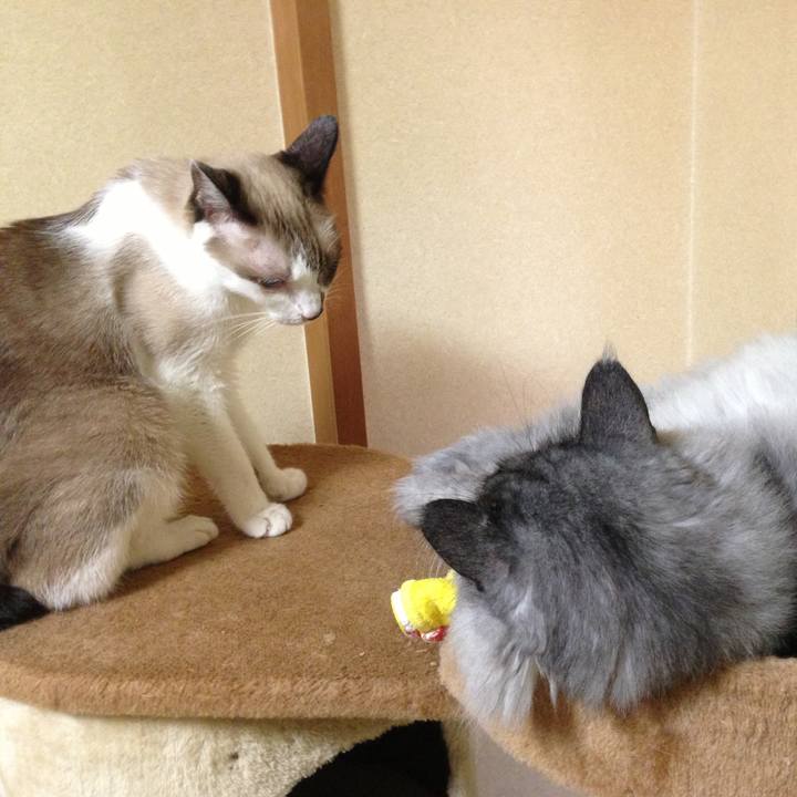 79321c1c e1eb 401d a75a 2e9b9c9b5345 1552009386992