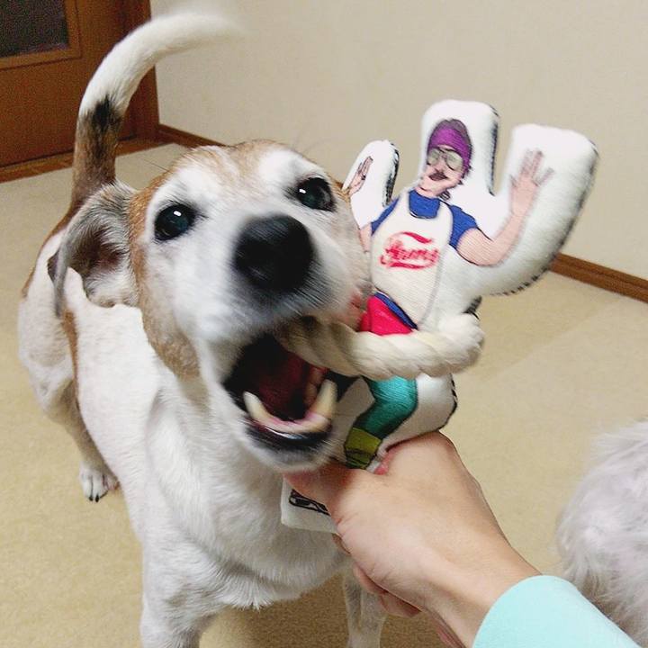 7932205d be35 40fc 998f a7aa537d5aa0 1571493301879