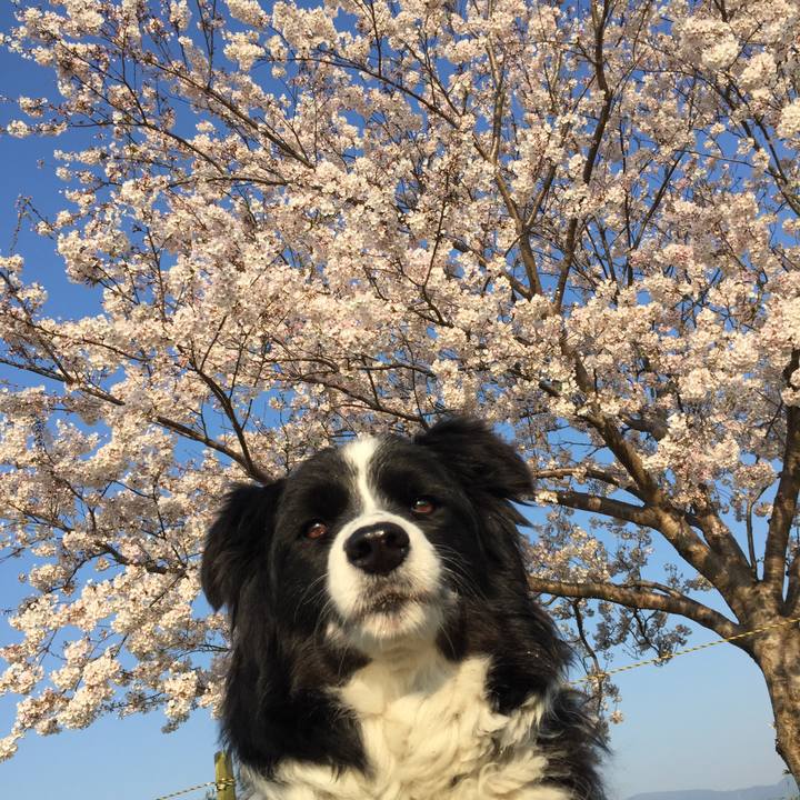 79324ead da5e 4d9b 9040 d8a2375cac0d 1585954031171