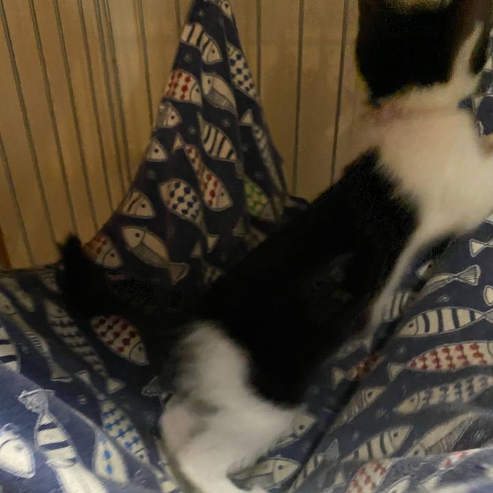 79325ae1 da2f 4ecb 9b6f 43b19764fdda 1624605766231