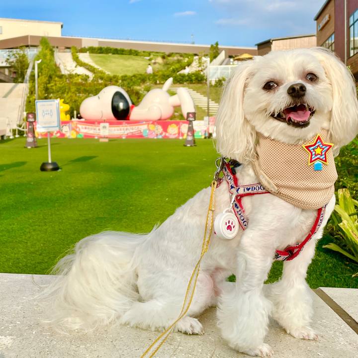 79325ce4 a6ad 4ad8 8f7f ba68292b4c39 1627202733037