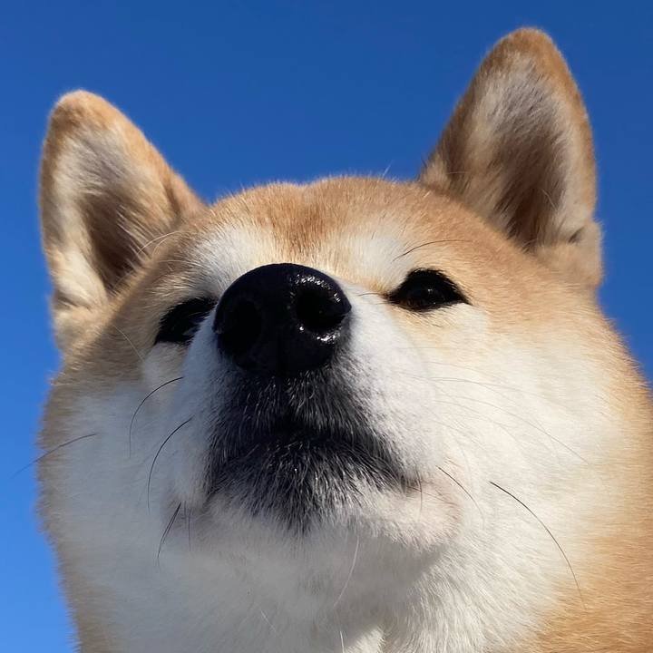 79326acd 34eb 410f ad57 b4d6aadd03c9 1737868232790